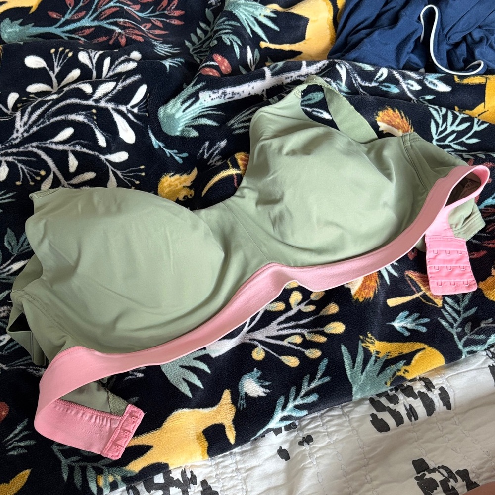 Natori Sage and Blush Bra